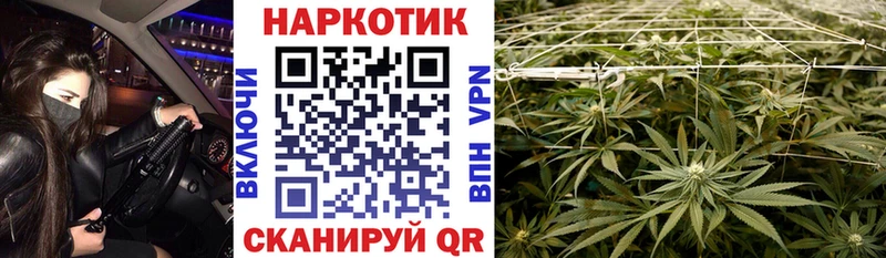 Где купить наркоту Новый Уренгой Каннабис A PVP АМФ блэк спрут вход Меф мяу мяу