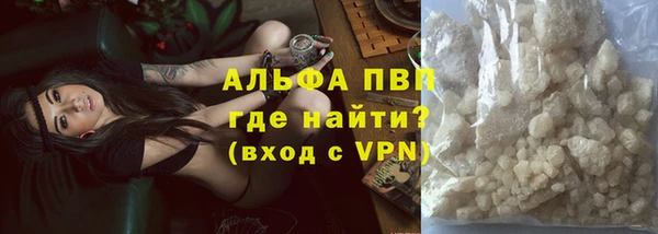 индика Армянск