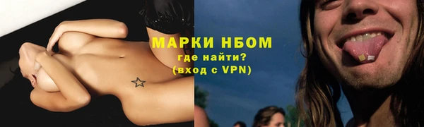 индика Армянск