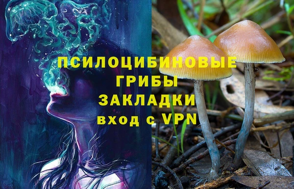 Альфа ПВП Аркадак