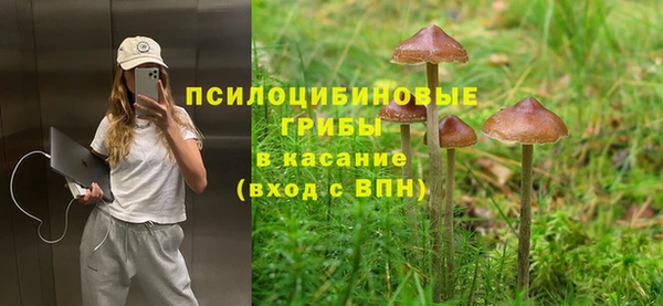 экстази Арсеньев
