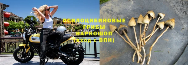 Альфа ПВП Аркадак