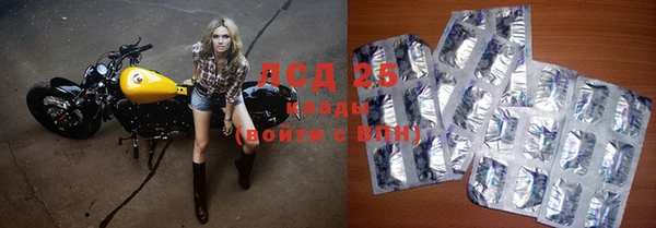 экстази Арсеньев
